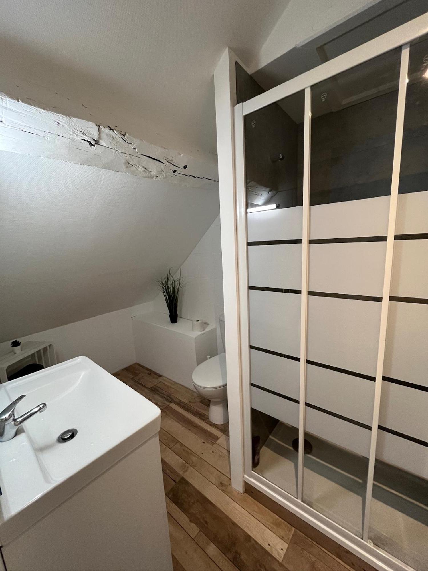 Residence 3 Studios De Charme Dans Centre Proche Cathedrale, Parking Possible A Prox Orleans Exterior photo