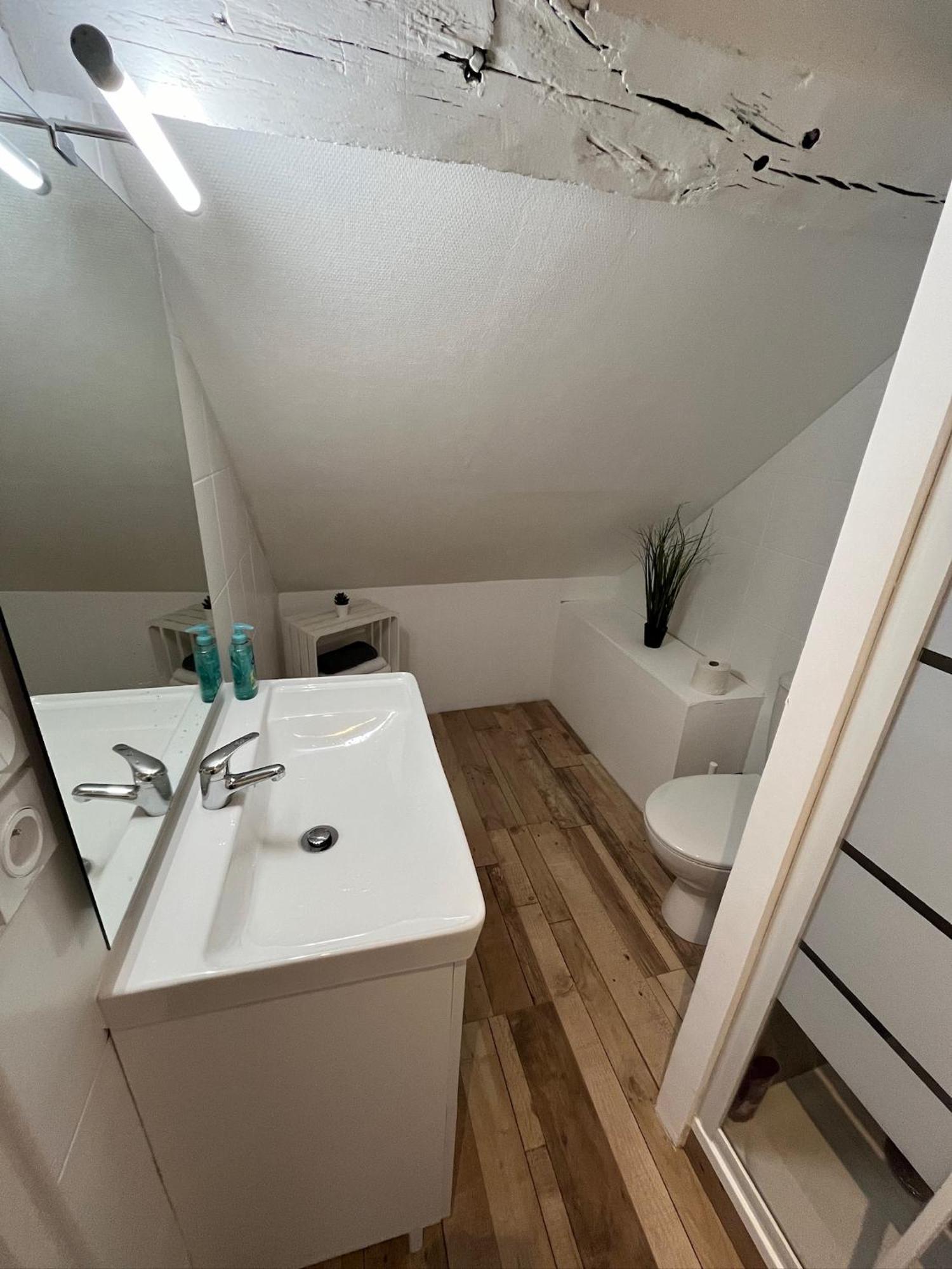 Residence 3 Studios De Charme Dans Centre Proche Cathedrale, Parking Possible A Prox Orleans Exterior photo